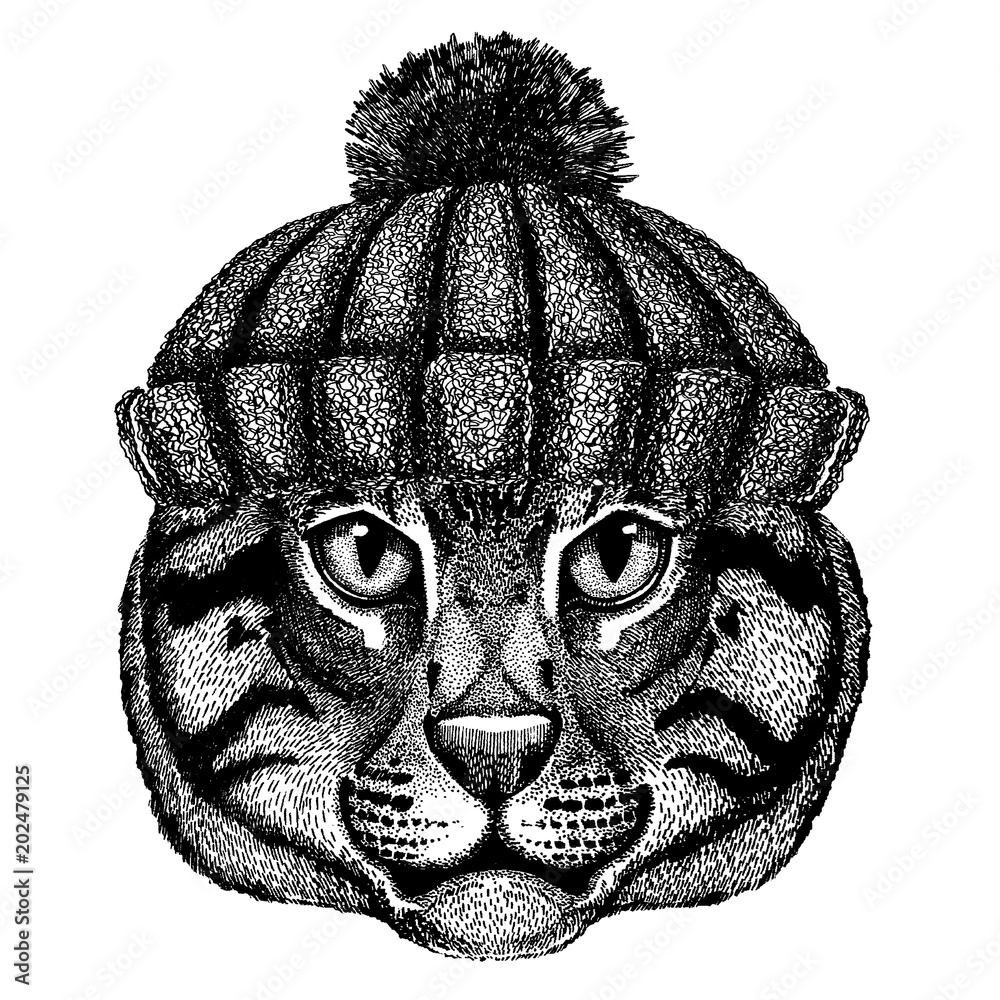 Wild cat Fishing cat Cool animal wearing knitted winter hat. Warm