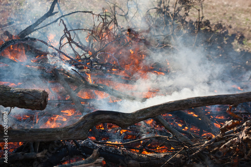 A burning brush fire made of sticks with smoke.