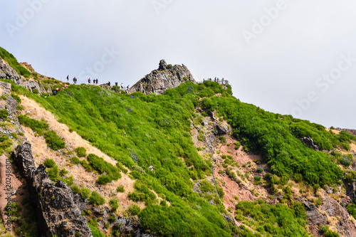 Madeira nature mountain hiking, Portugal europe
