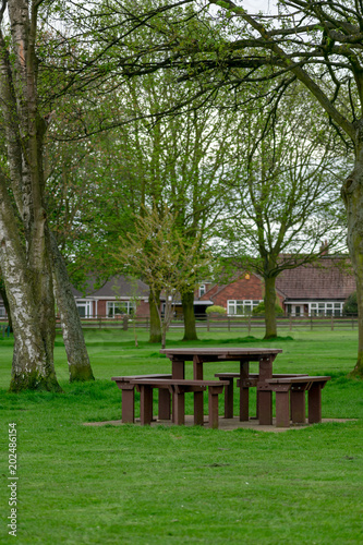 Picnic Bench in the Park