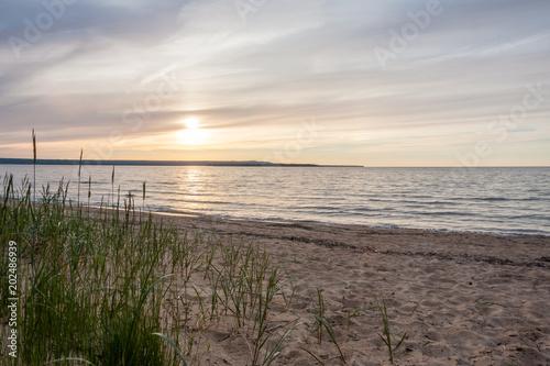 Grass on a sandy beach in Michigan  with the sun low in the horizon.