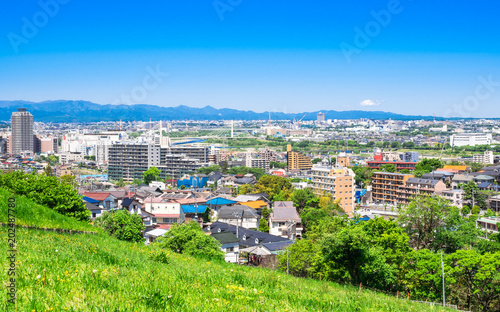 青空が広がる東京郊外の住宅街