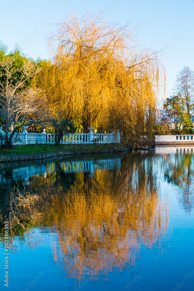 Φωτογραφία Beautiful landscape of pond and trees in the Adler Southern Culture Park in sunn
