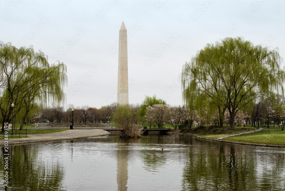 Park in Washington DC with View of Monument
