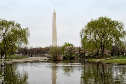 Park in Washington DC with View of Monument