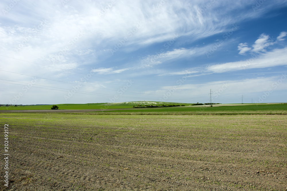 Rural landscape, fields and blue sky