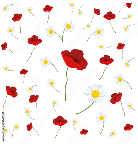 Fototapeta Naklejka Na Ścianę i Meble -  fiori di campo volanti