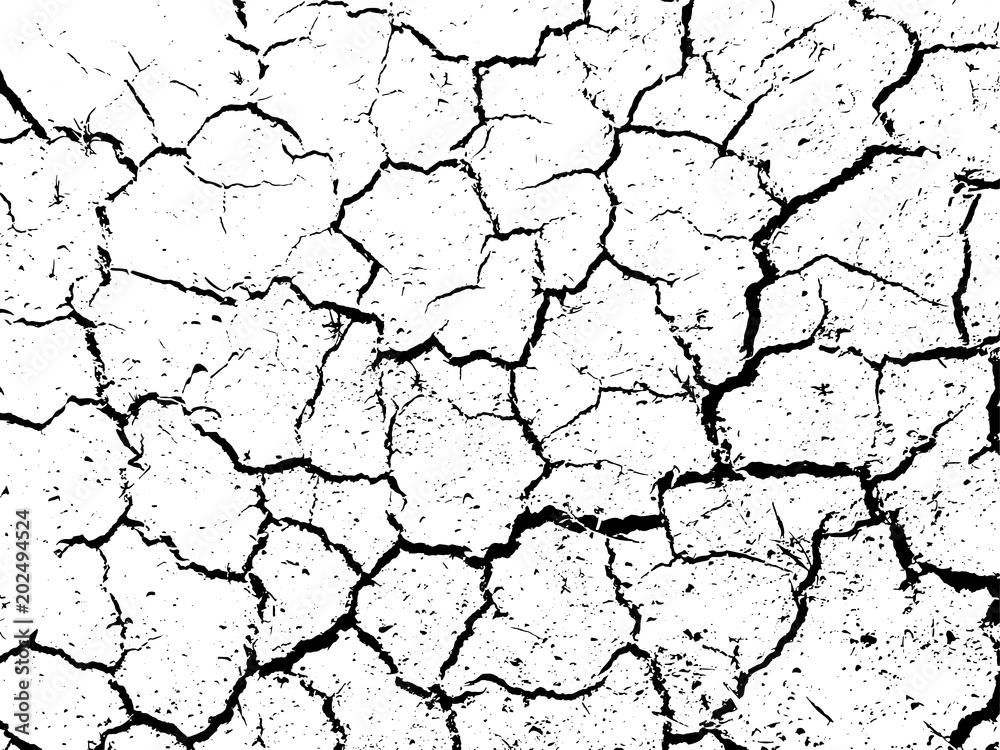 The cracks texture of dry earth. Grunge abstract background. Distressed vector overlay. The cracks texture of dry earth. Grunge abstract background. Distressed vector overlay.