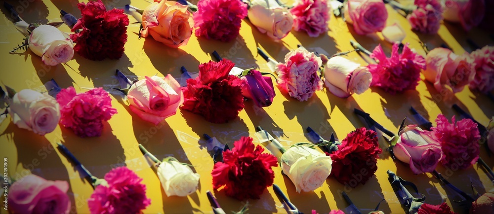 Foto many roses and other  flowers