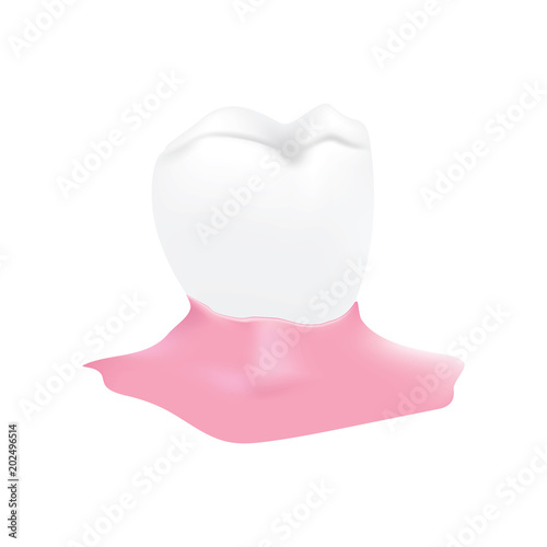tooth isolated on a white background concept