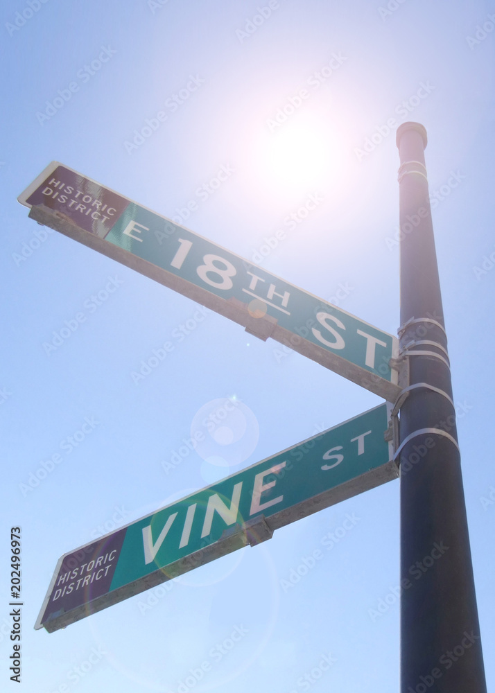 Obraz na plátně 18th and Vine