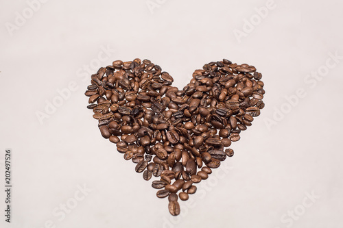 coffee beans photo