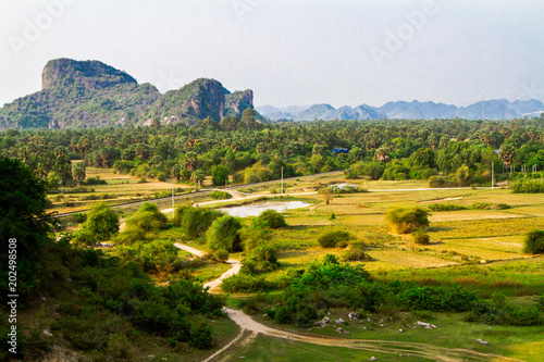 Cambodian nature, Kep, Cambodia photo