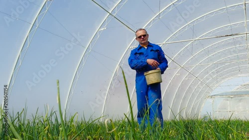 Farmer hand throws fertilizer in the greenhouse. Dolly gimbal video.