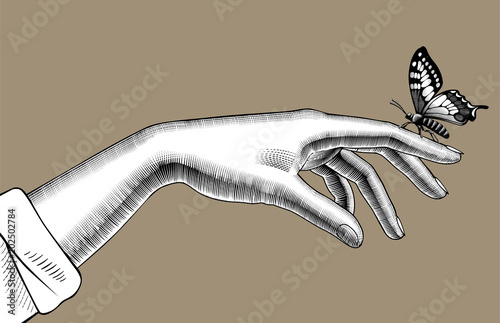 Woman's hand with a butterfly sitting on her finger