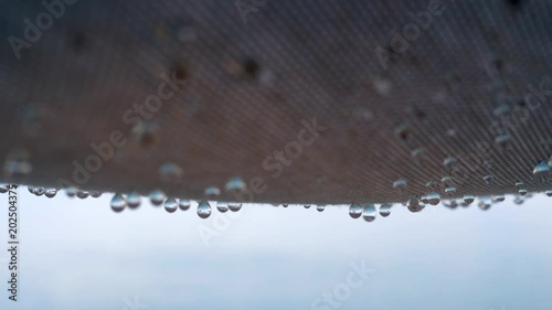 Close-up shot textile shed outdoor and crystal pure raindrops falling from it photo