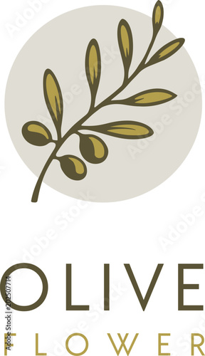 Natural Herbal Olive Oil  Plant, Olive Leaf Flower logo design 