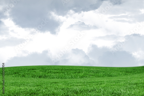 Field and sky with copy space