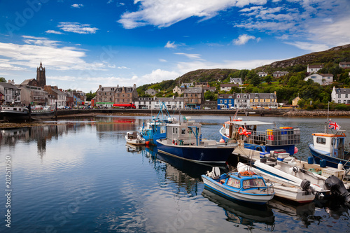 Tarbert Harbour Argyll and Bute Scotland UK © Dmitry Naumov