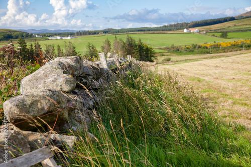 Scottish rural landscape with drystane dyke photo