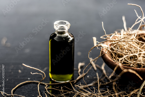 Floral and ayurvedic essence of herb Vetiver grass or Khus in a transparent bottle used in many beverages of Indian and Asia with dried vetiver grass in a clay bowl on black surface. photo