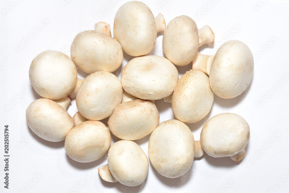 Large and beautiful champignons close-up on a white background. Group of mushrooms Large and beautiful champignons close-up on a white background. Group of mushrooms