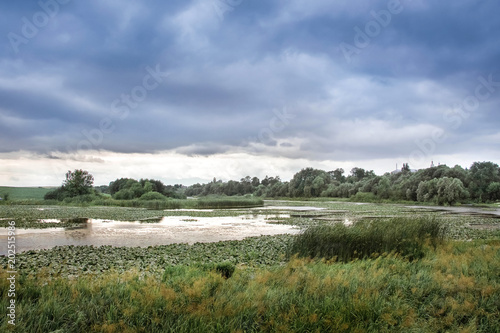 Stormy sky over the river  overgrown sedge and water lilies_