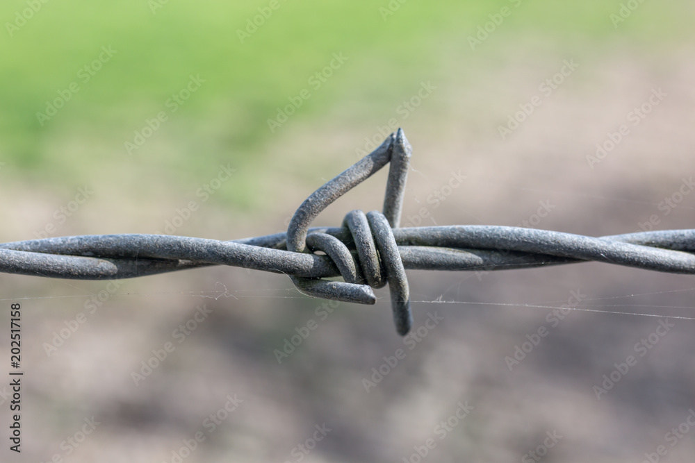 Barbed Wire Barbed Wire