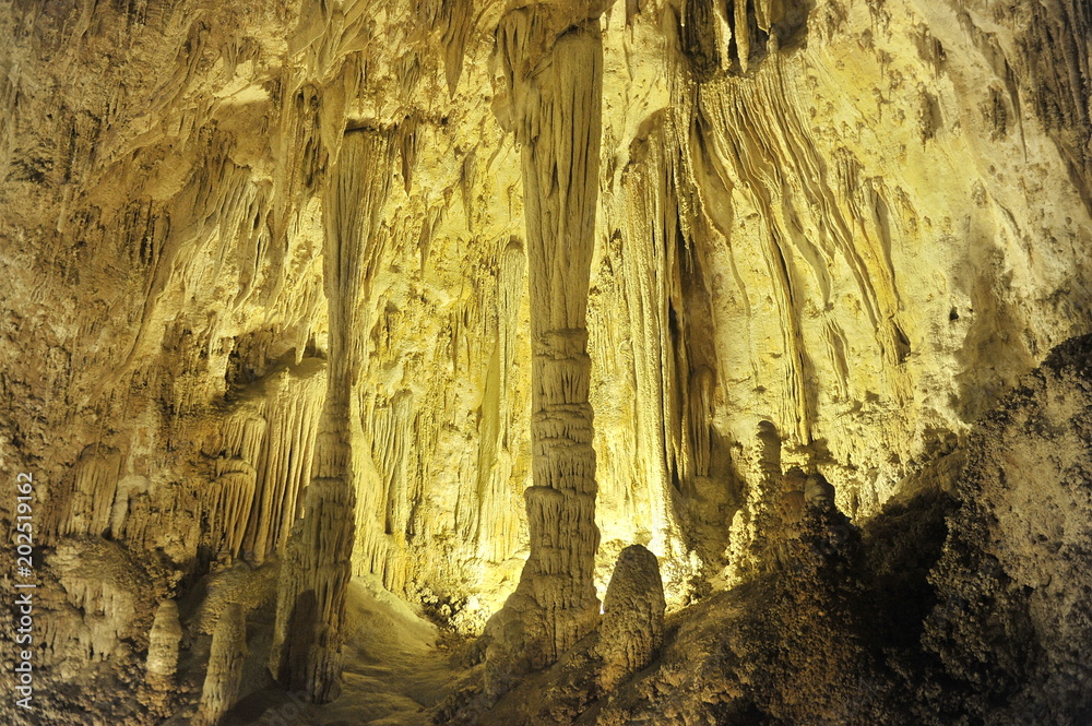 USA. Stalactites and stalagmites of Carlsbad caves