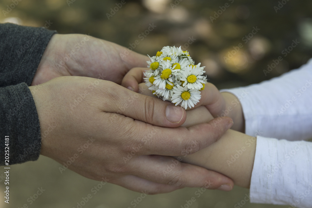 kid plays with daisy, children activities. kid plays with daisy, children activities.