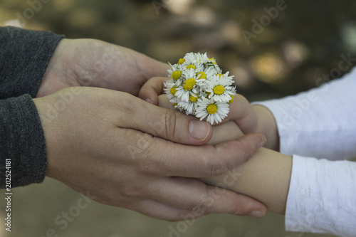 kid plays with daisy, children activities.