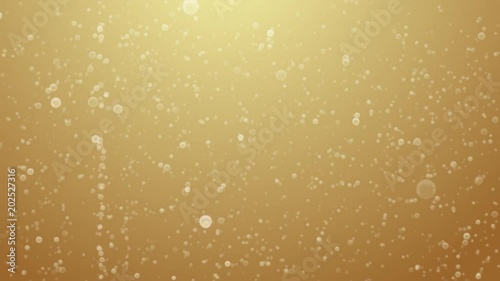 Champagne bubbles rising video background (Loop).