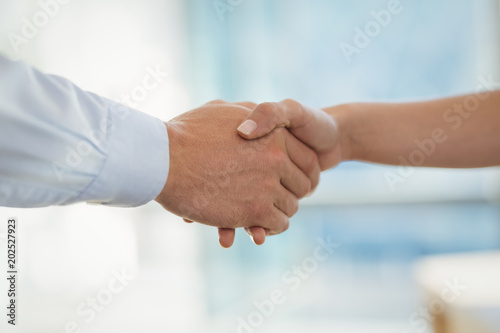 Executives shaking hands in office