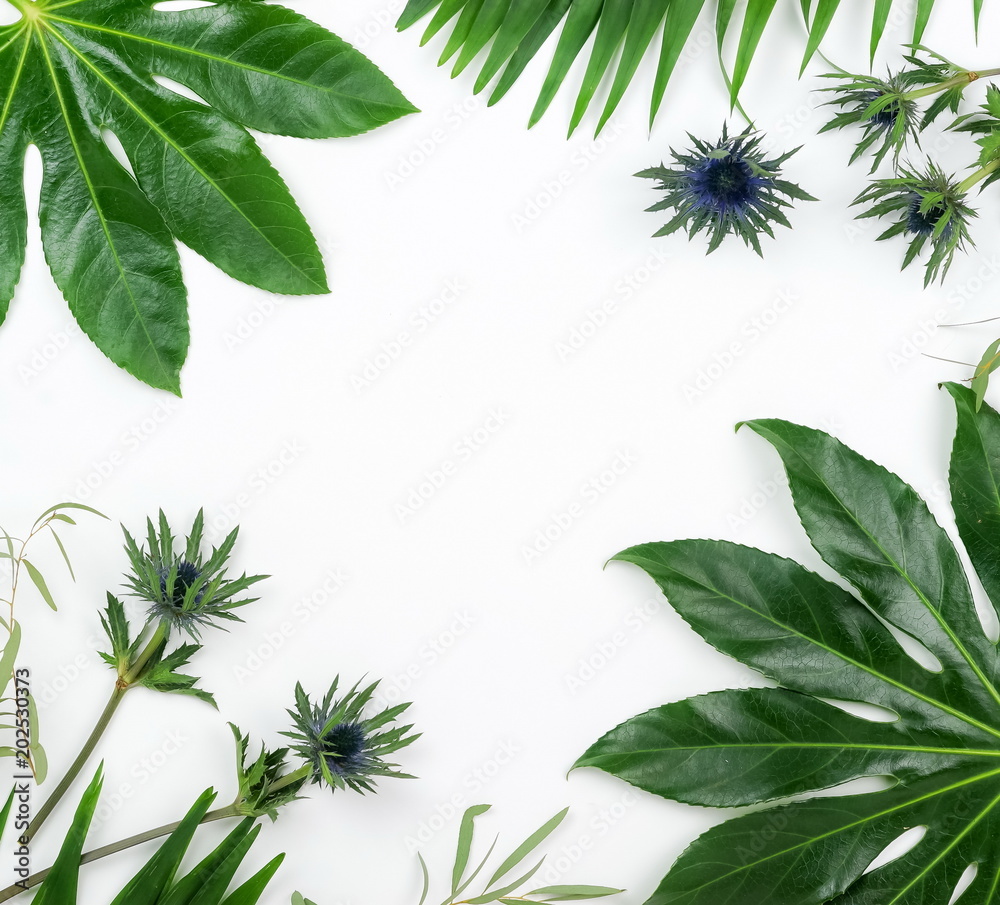 Abstract frame made of green tropical leaves on white background. Flat lay, top view. copy space Abstract frame made of green tropical leaves on white background. Flat lay, top view. copy space