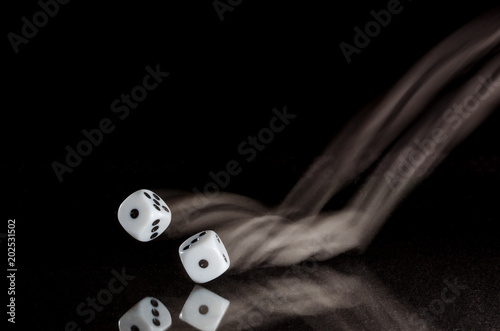 Coming Up Snake Eyes on a Roll of the Dice photo