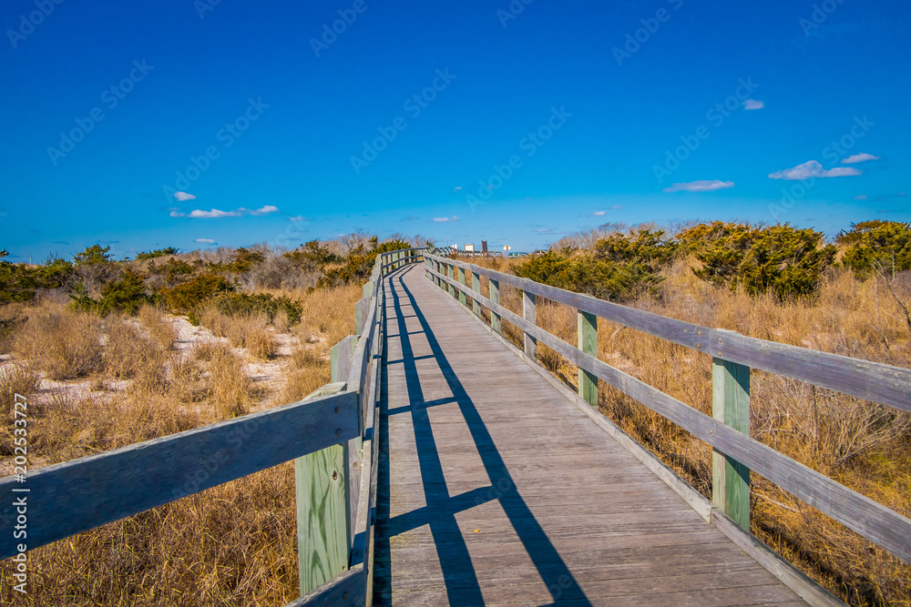 Outdoor view of long wooden bridge at Long island