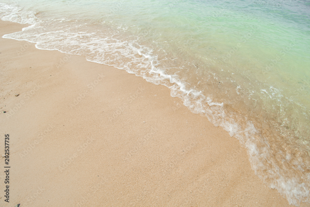 Wave at Tropical Beach