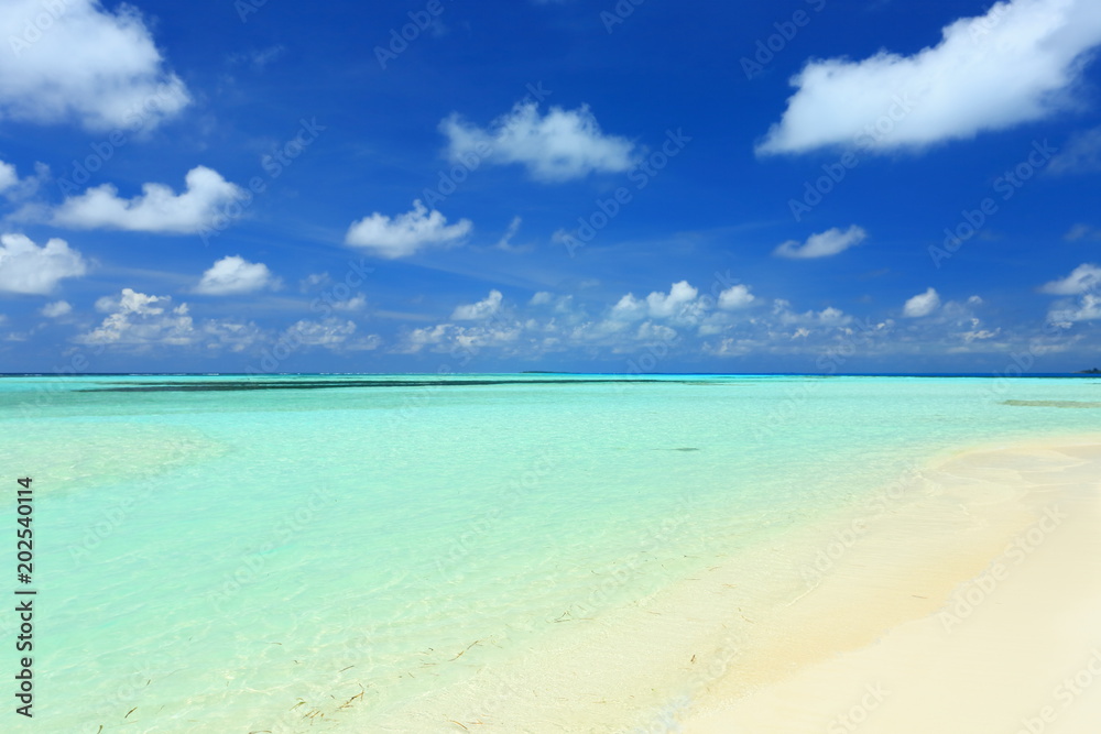 Gorgeous view of Indian Ocean, Maldives. White sand beach, turquoise water, blue sky and white clouds. Beautiful background.	