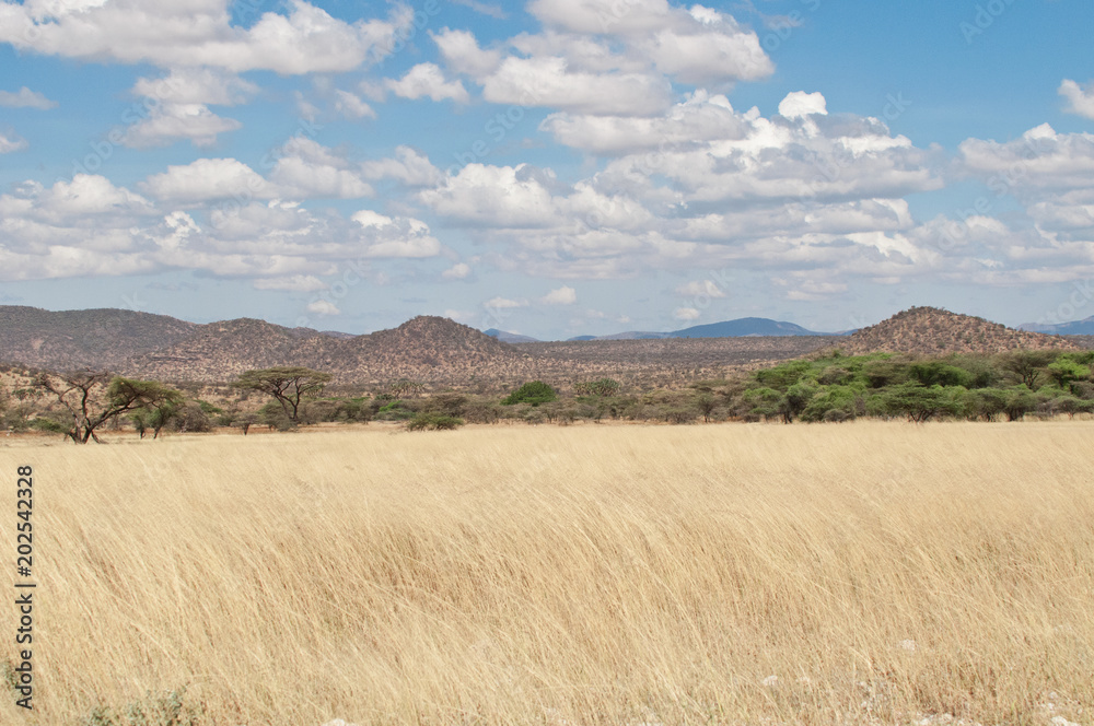 Samburu Landscape Kenya