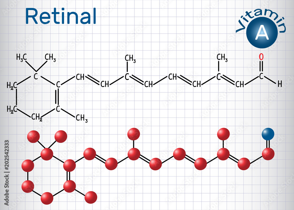 Retinal (retinaldehyde) is vitamin A. Structural chemical formula and molecule model. Sheet of paper in a cage Retinal (retinaldehyde) is vitamin A. Structural chemical formula and molecule model. Sheet of paper in a cage