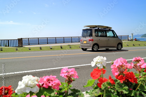 Obraz na płótnie 花と車 w salonie
