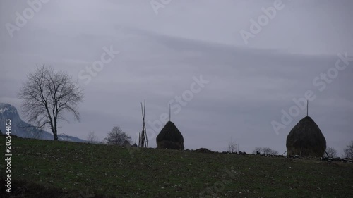 Haystacks and trees on a field photo