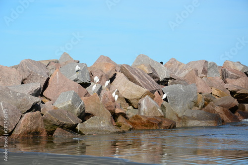 praia do cassino - rio grande rs  photo