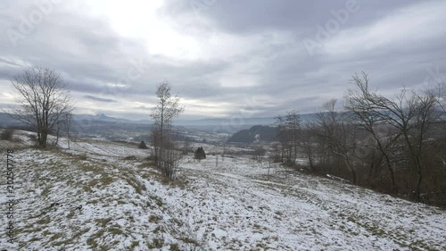 Leafless trees on a field in Oncesti  photo