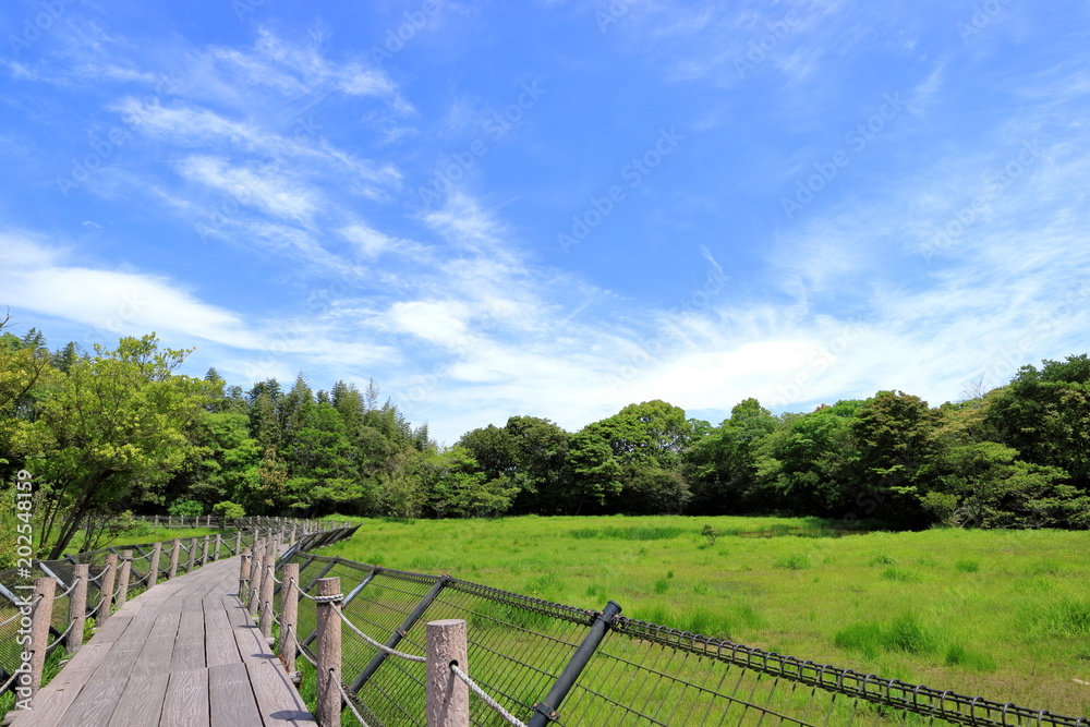 高鍋湿原