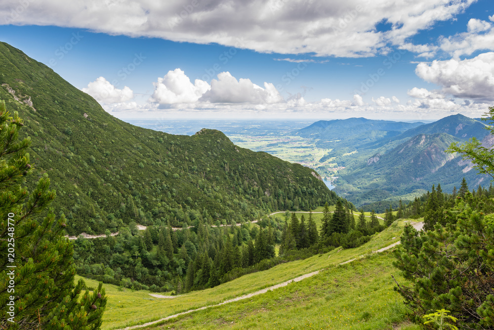 Weg zum Herzogstand in den Alpen im Sommer
