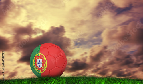 Football in portugal colours against green grass under cloudy sky
