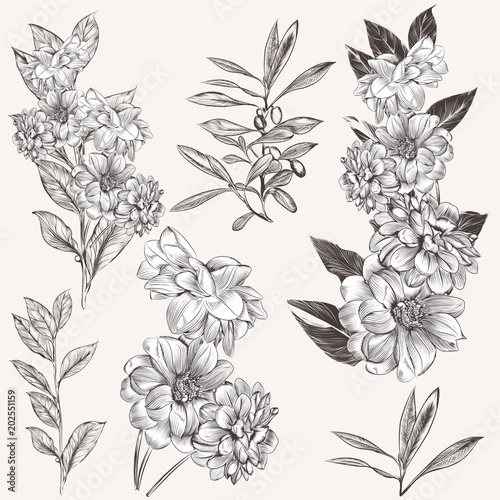 Collection of high detailed hand drawn flowers