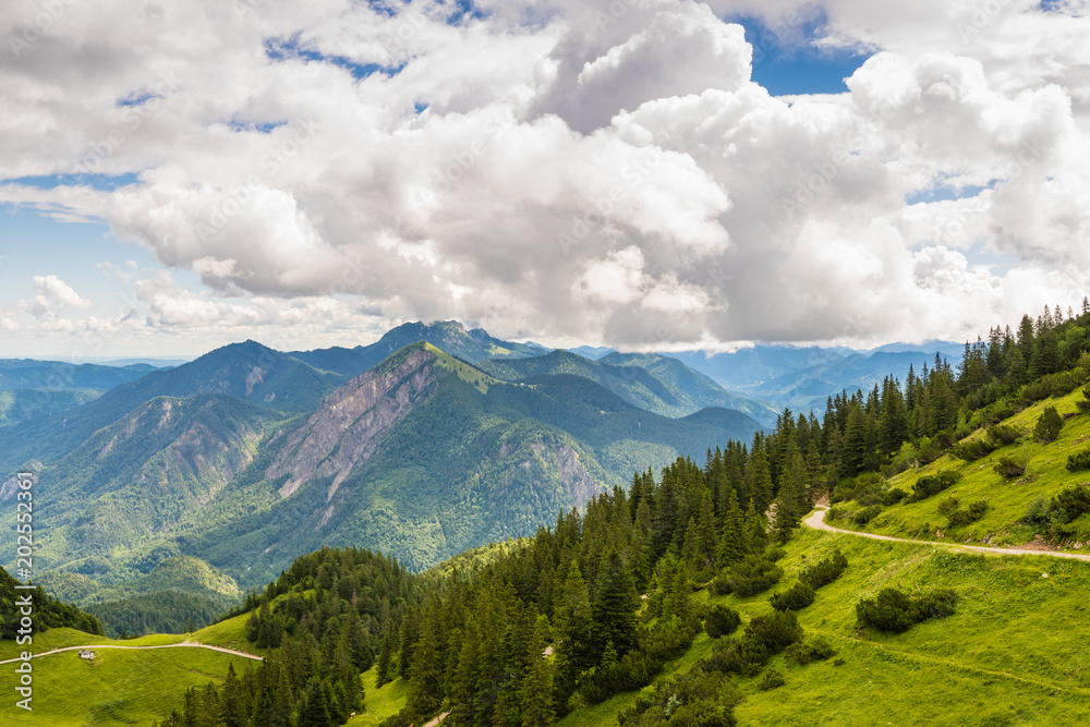Fototapeta premium Weg zum Herzogstand in den Alpen im Sommer