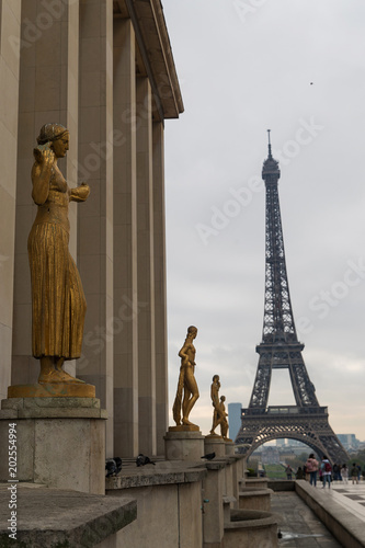 Eiffel Tower in Paris  France